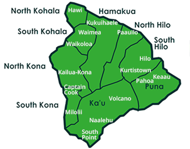 Graphic of Big Island broken out by districts